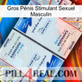 Gros Pénis Stimulant Sexuel Masculin kamagra1